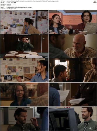 Walker S01-S04 1080p BluRay WEB DDP 5.1 x265-edge2020