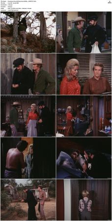 Bonanza S01-S14 DVDRip XviD x264-SCENE