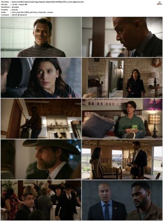 Walker S01-S04 1080p BluRay WEB DDP 5.1 x265-edge2020