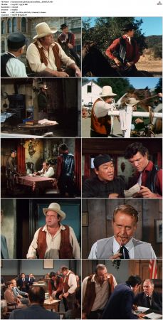 Bonanza S01-S14 DVDRip XviD x264-SCENE