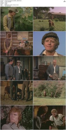 Bonanza S01-S14 DVDRip XviD x264-SCENE
