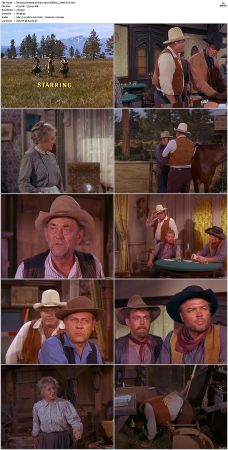 Bonanza S01-S14 DVDRip XviD x264-SCENE