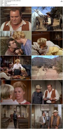 Bonanza S01-S14 DVDRip XviD x264-SCENE