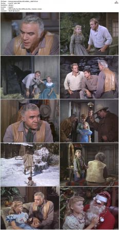 Bonanza S01 14 DVDRip XviD x264-SCENE