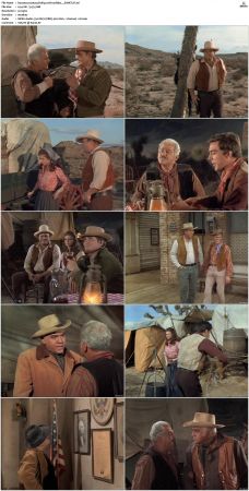 Bonanza S01-S14 DVDRip XviD x264-SCENE