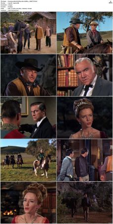 Bonanza S01-S14 DVDRip XviD x264-SCENE