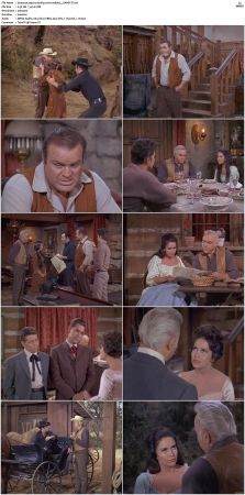 Bonanza S01-S14 DVDRip XviD x264-SCENE