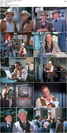 Bonanza S01-S14 DVDRip XviD x264-SCENE