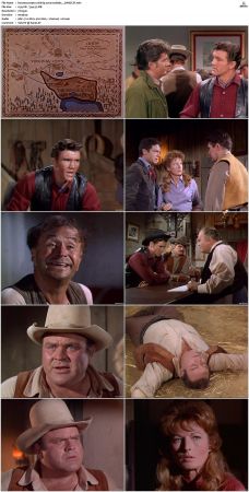 Bonanza S01-S14 DVDRip XviD x264-SCENE