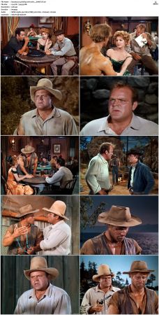 Bonanza S01 14 DVDRip XviD x264-SCENE