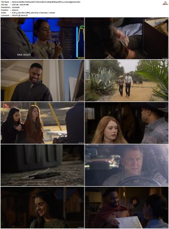 Walker S01 S04 1080p BluRay WEB DDP 5 1 x265-edge2020