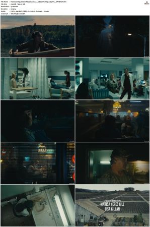 Homecoming S01-S02 WEBRip EAC3 5 1 1080p x265-iVy