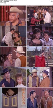 Bonanza S01 14 DVDRip XviD x264-SCENE