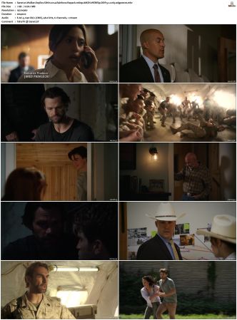 Walker S01-S04 1080p BluRay WEB DDP 5.1 x265-edge2020
