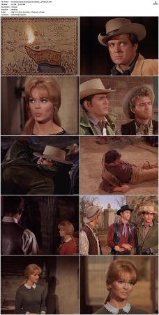 Bonanza S01-S14 DVDRip XviD x264-SCENE