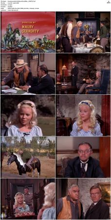 Bonanza S01-S14 DVDRip XviD x264-SCENE