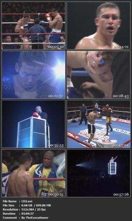 K-1 WGP 1993-2010 FINAL DVDRiP PACK