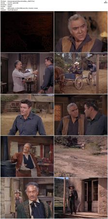 Bonanza S01-S14 DVDRip XviD x264-SCENE