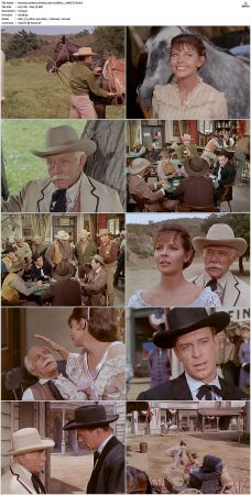 Bonanza S01-S14 DVDRip XviD x264-SCENE