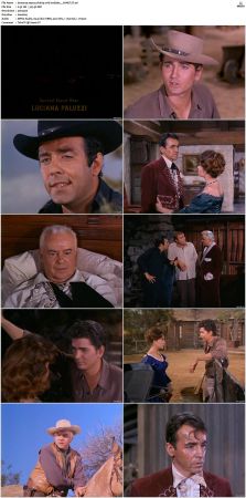 Bonanza S01 14 DVDRip XviD x264-SCENE