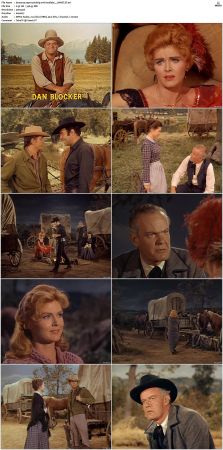 Bonanza S01 14 DVDRip XviD x264-SCENE