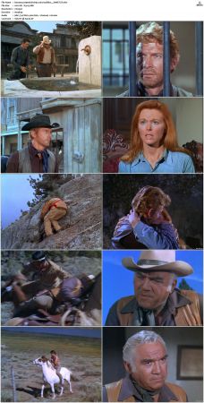 Bonanza S01-S14 DVDRip XviD x264-SCENE