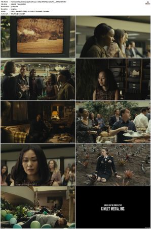 Homecoming S01-S02 WEBRip EAC3 5 1 1080p x265-iVy