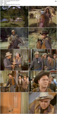 Bonanza S01 14 DVDRip XviD x264-SCENE