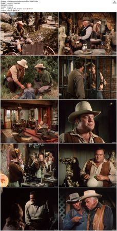 Bonanza S01-S14 DVDRip XviD x264-SCENE