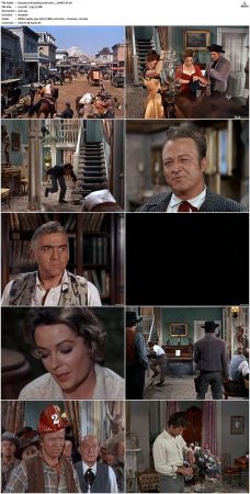 Bonanza S01 14 DVDRip XviD x264-SCENE