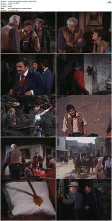 Bonanza S01-S14 DVDRip XviD x264-SCENE