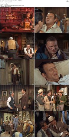 Bonanza S01-S14 DVDRip XviD x264-SCENE