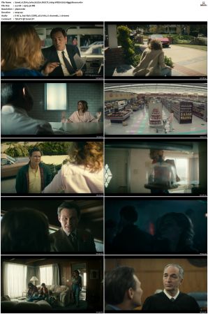 Dirty John S02 MULTI 2160p WEB H265-HiggsBoson