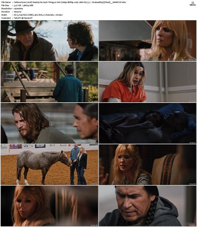 Yellowstone 2018 S04 1080p BDRip x265 10bit AC3 51 DrainedDay TAoE