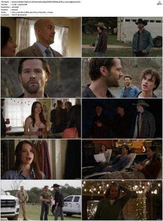 Walker S01-S04 1080p BluRay WEB DDP 5.1 x265-edge2020