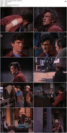 Bonanza S01-S14 DVDRip XviD x264-SCENE