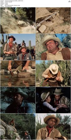 Bonanza S01-S14 DVDRip XviD x264-SCENE