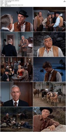 Bonanza S01 14 DVDRip XviD x264-SCENE