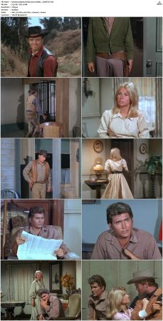 Bonanza S01-S14 DVDRip XviD x264-SCENE