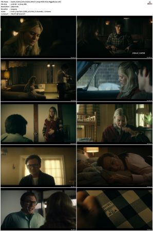 Dirty John S02 MULTI 2160p WEB H265-HiggsBoson