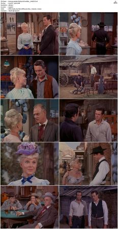 Bonanza S01 14 DVDRip XviD x264-SCENE