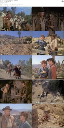 Bonanza S01 14 DVDRip XviD x264-SCENE