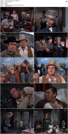 Bonanza S01 14 DVDRip XviD x264-SCENE