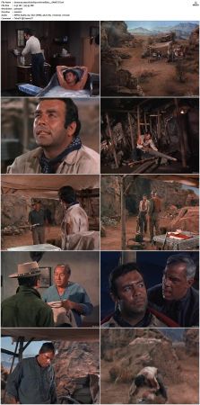 Bonanza S01 14 DVDRip XviD x264-SCENE