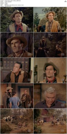 Bonanza S01 14 DVDRip XviD x264-SCENE