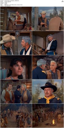 Bonanza S01 14 DVDRip XviD x264-SCENE