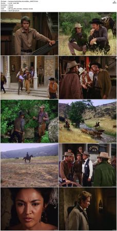 Bonanza S01-S14 DVDRip XviD x264-SCENE