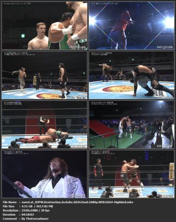 NJPW Destruction In Kobe 2024 Dual 1080p WEB H264-Highbird