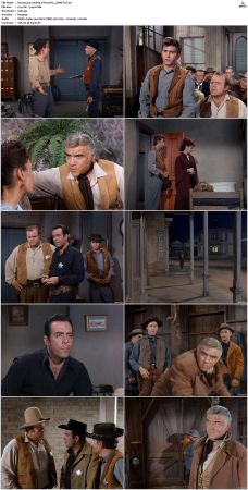 Bonanza S01 14 DVDRip XviD x264-SCENE