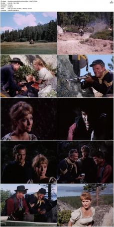 Bonanza S01-S14 DVDRip XviD x264-SCENE